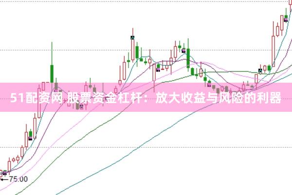 51配资网 股票资金杠杆：放大收益与风险的利器