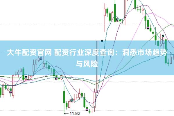 大牛配资官网 配资行业深度查询：洞悉市场趋势与风险
