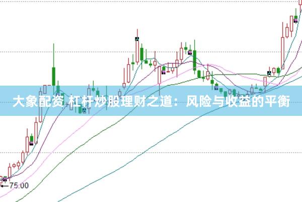 大象配资 杠杆炒股理财之道：风险与收益的平衡