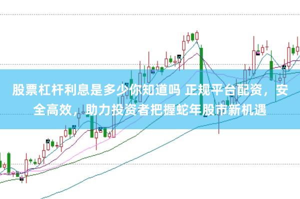 股票杠杆利息是多少你知道吗 正规平台配资，安全高效，助力投资者把握蛇年股市新机遇