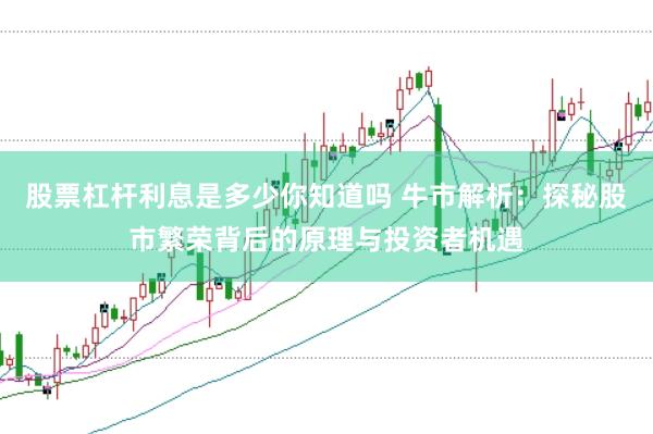 股票杠杆利息是多少你知道吗 牛市解析：探秘股市繁荣背后的原理与投资者机遇