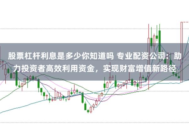股票杠杆利息是多少你知道吗 专业配资公司：助力投资者高效利用资金，实现财富增值新路径