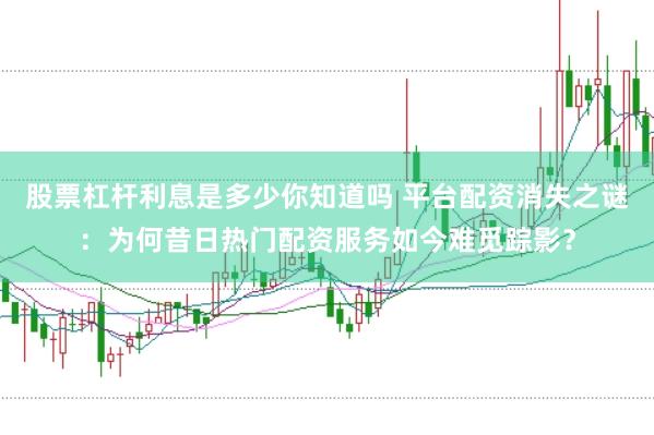 股票杠杆利息是多少你知道吗 平台配资消失之谜：为何昔日热门配资服务如今难觅踪影？
