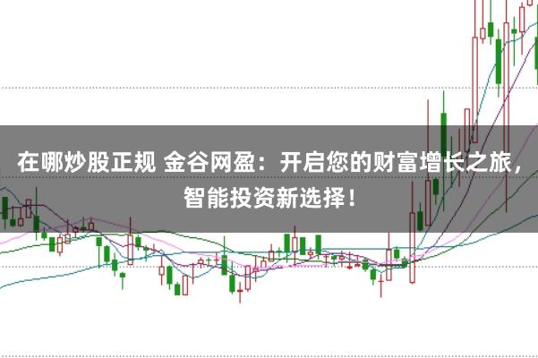 在哪炒股正规 金谷网盈：开启您的财富增长之旅，智能投资新选择！