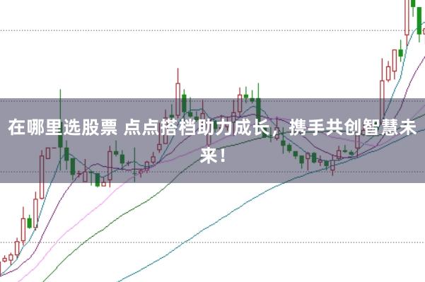 在哪里选股票 点点搭档助力成长，携手共创智慧未来！