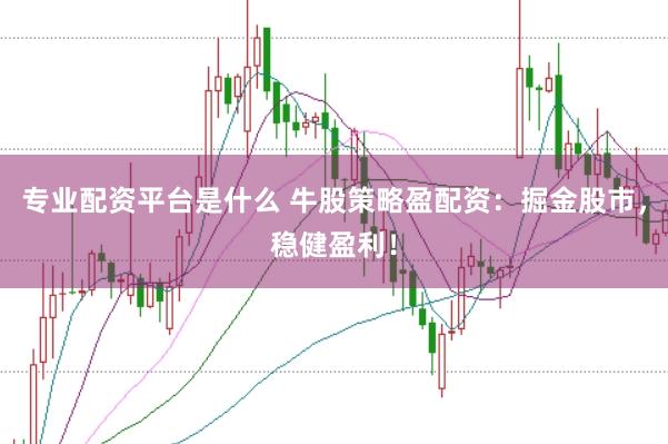 专业配资平台是什么 牛股策略盈配资：掘金股市，稳健盈利！