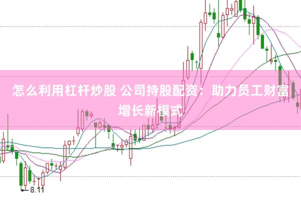 怎么利用杠杆炒股 公司持股配资：助力员工财富增长新模式