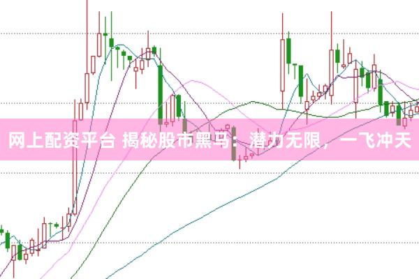 网上配资平台 揭秘股市黑马：潜力无限，一飞冲天