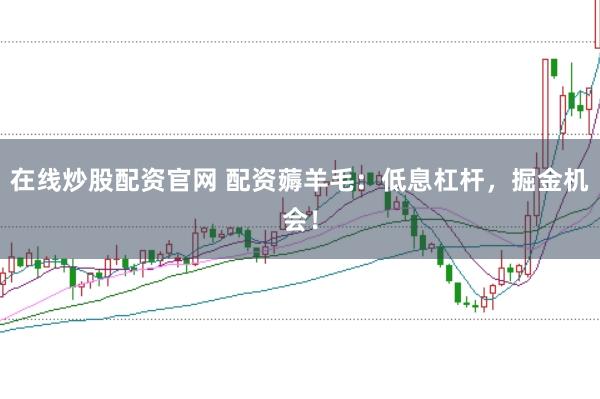 在线炒股配资官网 配资薅羊毛：低息杠杆，掘金机会！