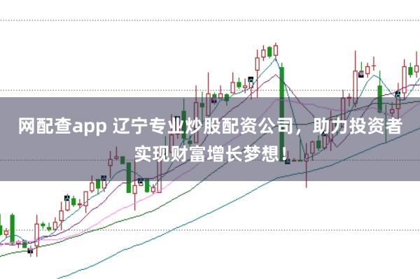 网配查app 辽宁专业炒股配资公司，助力投资者实现财富增长梦想！