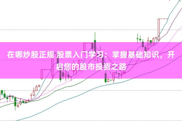 在哪炒股正规 股票入门学习：掌握基础知识，开启您的股市投资之路