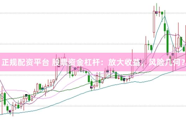 正规配资平台 股票资金杠杆：放大收益，风险几何？