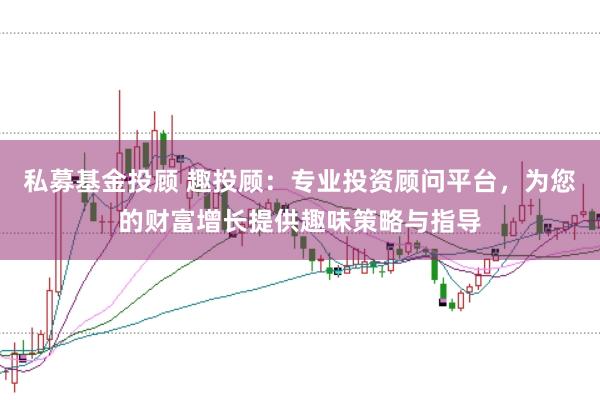 私募基金投顾 趣投顾：专业投资顾问平台，为您的财富增长提供趣味策略与指导