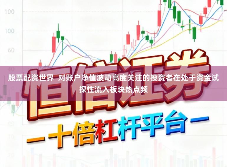 股票配资世界  对账户净值波动高度关注的投资者在处于资金试探性流入板块热点频